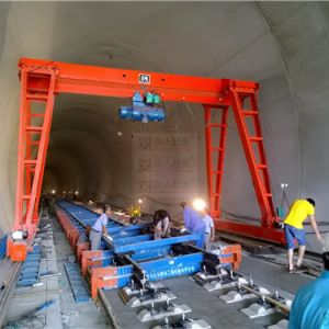 d؛C(j)İȫg(sh)Ҫʲô